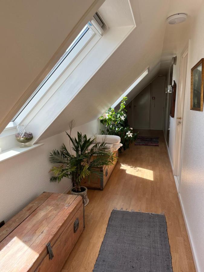 Munkebo B&B, Thy Thisted Zewnętrze zdjęcie